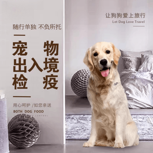 宜昌市宠物托运到哥伦比亚猫狗宠物入境规定和