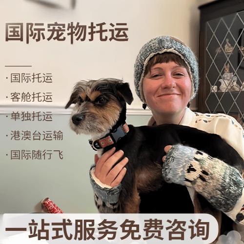 宜昌市国际宠物托运到阿根廷宠物入境规定和要