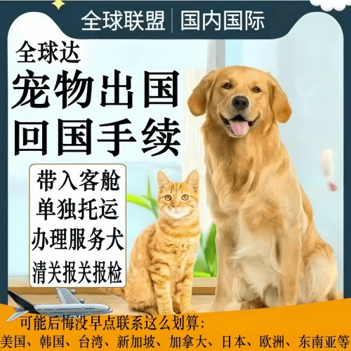宜昌市宠物托运到柬埔寨宠物入境规定和要求